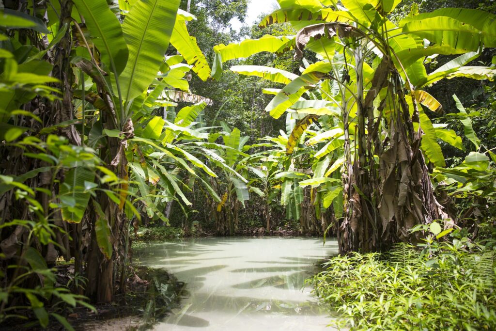 A imagem mostra um fervedouro no tocantins