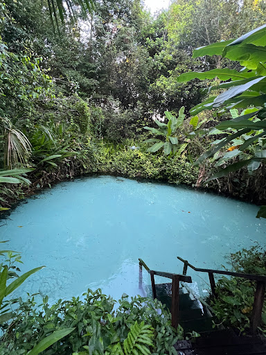 Fervedouro dos Buritis - Turismo Tocantins